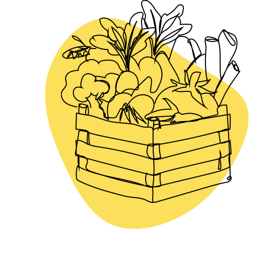 Logo Pasta Di leo, événementiel fabricant de pâtes artisanal dans la drôme