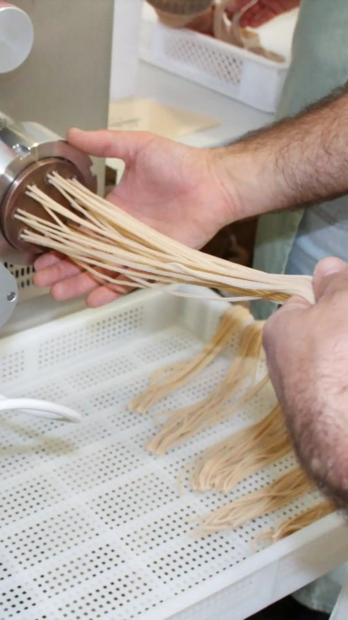 Pasta Di leo, événementiel fabricant de pâtes artisanal dans la drôme